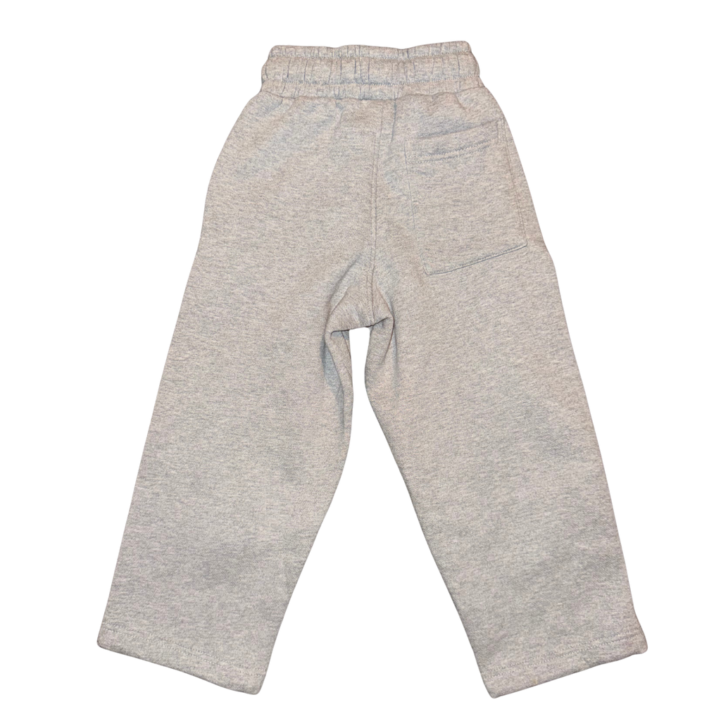 TNDD TODDLER GREY SWEATS